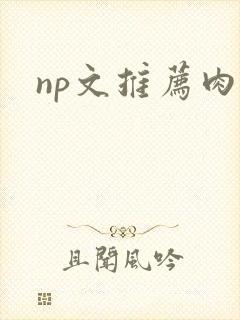 np文推荐肉多