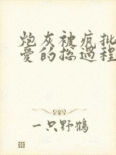 炮灰被疯批强制爱的总过程np