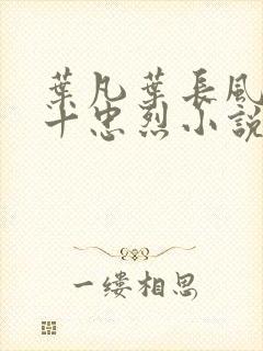 叶凡叶长风一门十忠烈小说书名