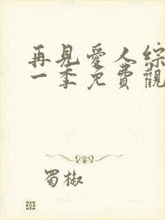 再见爱人综艺第一季免费观看高清封面