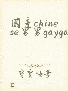 国产chinese男男gaygay网站