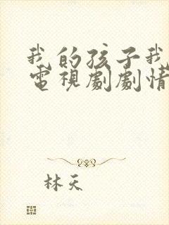 我的孩子我的家电视剧剧情介绍