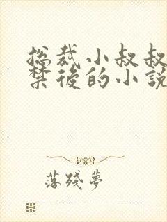 总裁小叔叔被囚禁后的小说