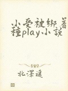 小受被绑着玩各种play小说
