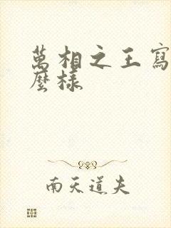 万相之王写的怎么样封面
