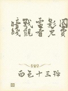 暗战电影国语在线观看免费