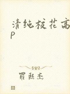清纯校花高hnp