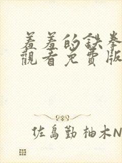 羞羞的铁拳在线观看免费版