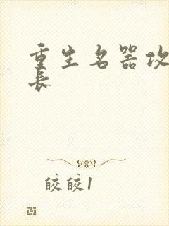 重生名器攻略兄长封面