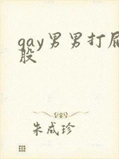 gay男男打屁股