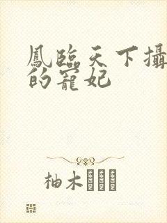 凤临天下摄政王的宠妃