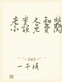 老实人和双胞胎小说免费阅读