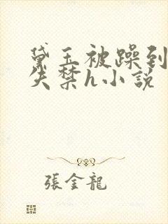 黛玉被躁到高潮失禁h小说