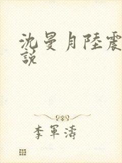 沈曼月陆震霆小说封面