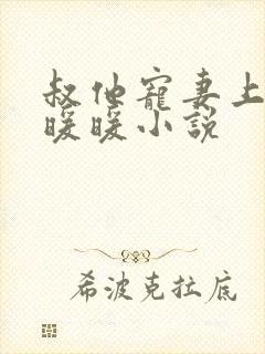 叔他宠妻上瘾古暖暖小说