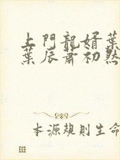 上门龙婿叶辰 叶辰萧初然最新