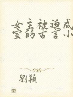 女主被迫成为妾室的古言小说封面