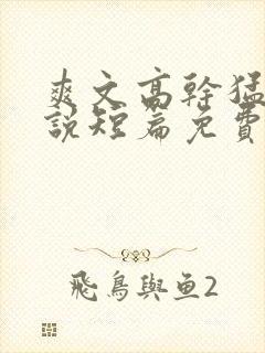 爽文高干猛文小说短篇免费阅读