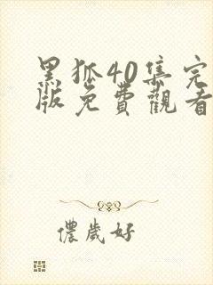 黑狐40集完整版免费观看电视剧封面