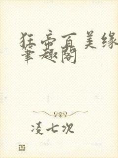 狂帝百美缘小说笔趣阁