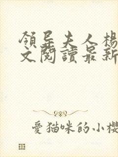 领导夫人杨姨全文阅读最新章节封面