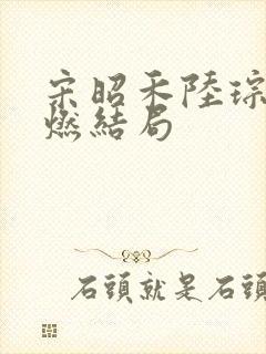 宋昭禾陆琮聿沈燃结局封面