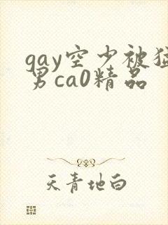 gay空少被猛男ca0精品