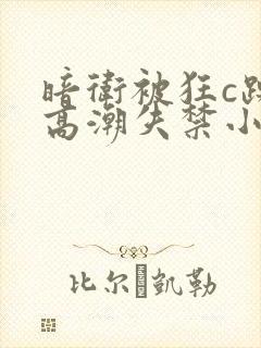 暗卫被狂c躁到高潮失禁小说
