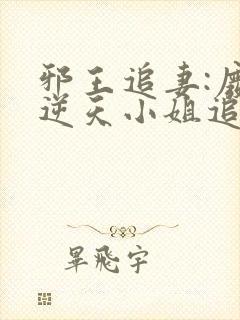 邪王追妻:废材逆天小姐追书