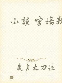 小说 官场新贵