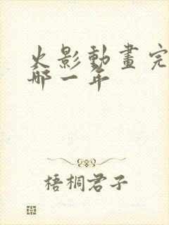 火影动画完结是哪一年封面