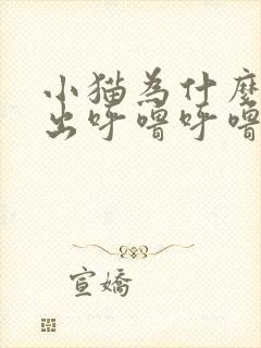 小猫为什么会发出呼噜呼噜的声音