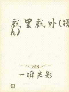 戏里戏外(现场h)