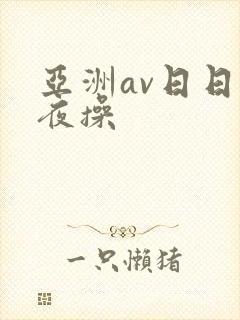 亚洲av日日夜夜操