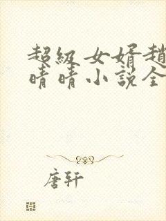超级女婿赵旭李晴晴小说全文免费阅读无弹窗