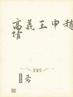 高义王申赵振孙倩封面