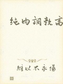 纯肉调教高h文