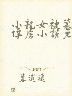 小龙女被蒙古兵俘虏小说免费阅读封面