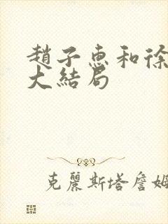 赵子惠和徐天的大结局
