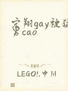 宏翔gay被猛男cao封面