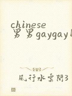 chinese男男gaygay网