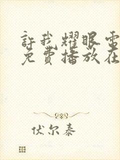 许我耀眼电视剧免费播放在线封面