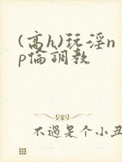 (高h)玩淫np伦调教
