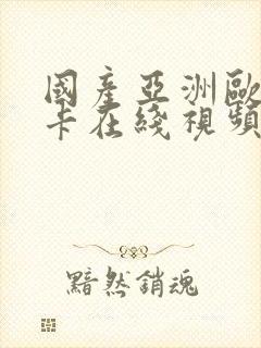 国产亚洲欧美不卡在线视频