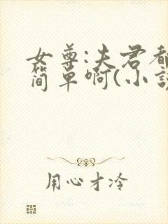 女尊:夫君都不简单啊(小说)