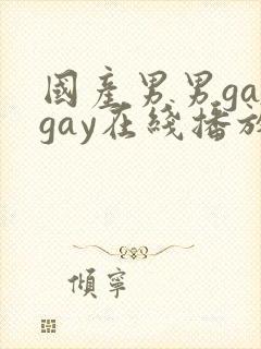 国产男男gaygay在线播放