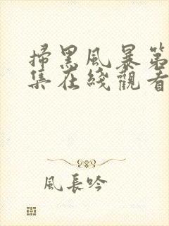 扫黑风暴第19集在线观看免费完整版