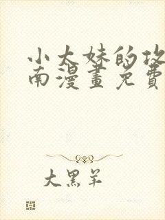 小太妹的攻略指南漫画免费封面