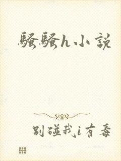 骚骚h小说