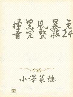 扫黑风暴免费观看完整版24集